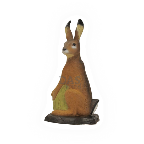 Target 3-D SRT Hare