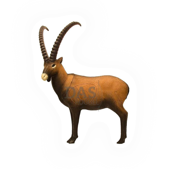 Target 3-D SRT  Ibex