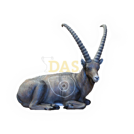 Target 3-D SRT  Ibex Bedded