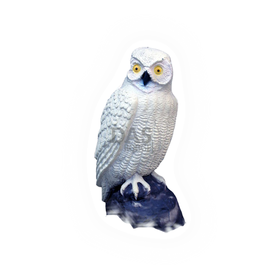 Target 3-D SRT  Owl Screech White