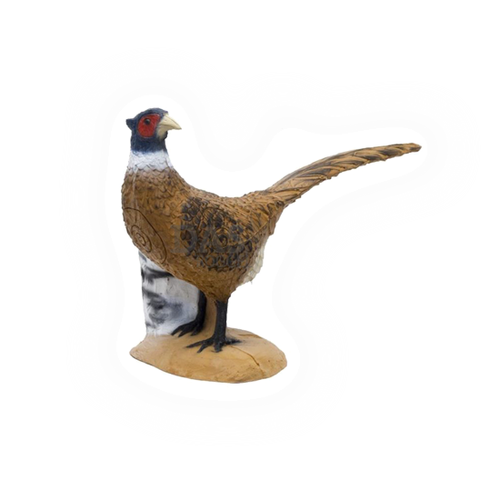 Target 3-D SRT  Pheasant