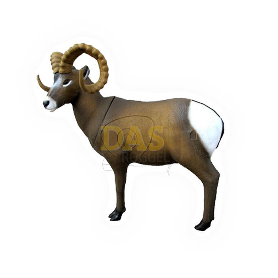 Target 3-D SRT  Rocky Mountain Sheep