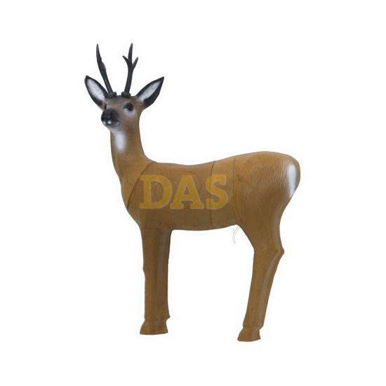 Target 3-D SRT  Roe Deer