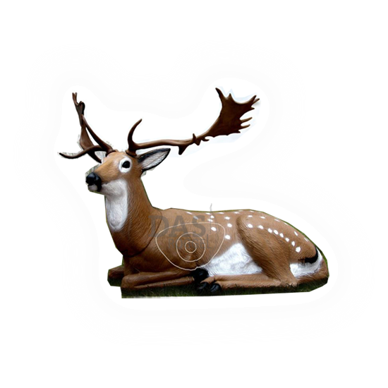 Target 3-D SRT Fallow Deer Bedded