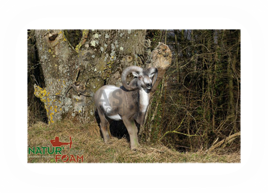 Target 3-D Naturfoam BIGHORN SHEEP - STANDING