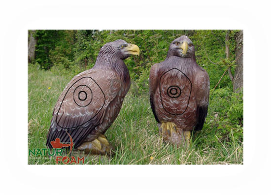 Afbeeldingen van Naturfoam Target 3d  Eagle