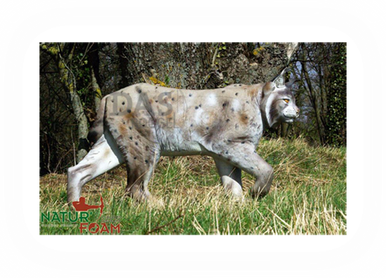 Bild von Naturfoam Target 3d  Lynx