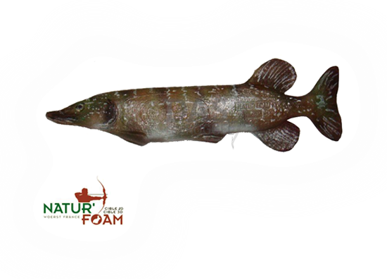 Bild von Naturfoam Target 3d  Pike