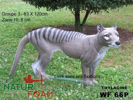 Target 3-D Naturfoam TASMANIAN WOLF