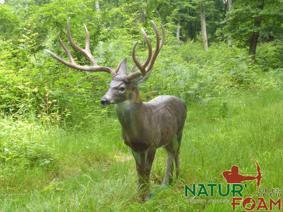 Picture of Naturfoam Target 3d  White Tail