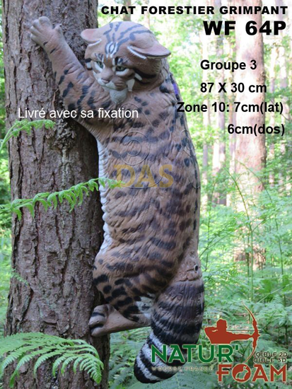 Target 3-D Naturfoam WILD CAT - CLIMBING