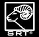 Bild für Kategorie SRT Targets