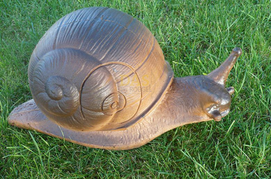 Bild von Wildlife Land Snail