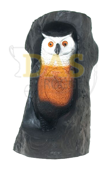 Image de Wildlife Owl in Trunk