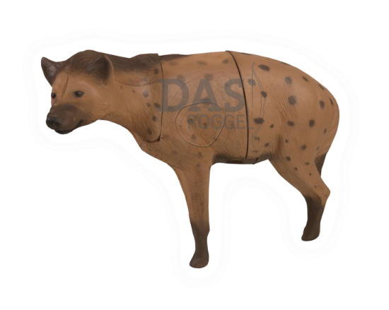 Image de Delta African Hyena