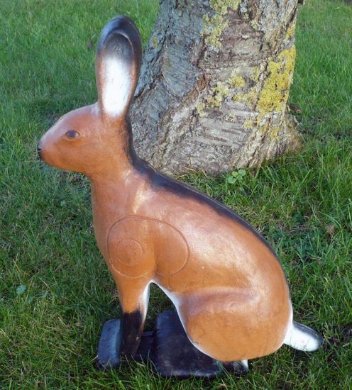 Bild von Wildlife Rabbit
