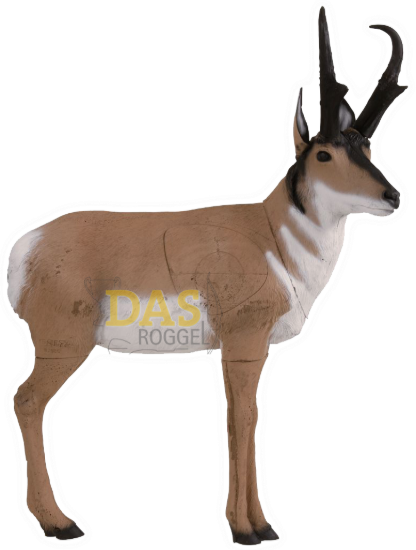 Picture of Delta Antelope