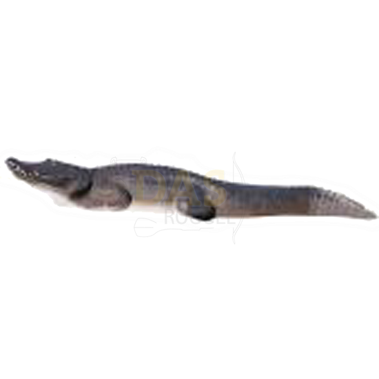 Afbeeldingen van Delta Alligator