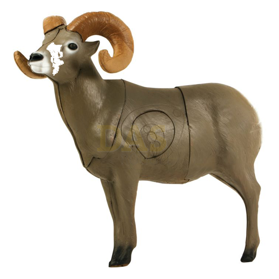 Image de Delta Bighorn Sheep