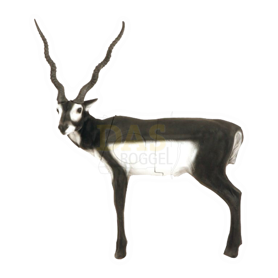 Bild von Delta Black Buck