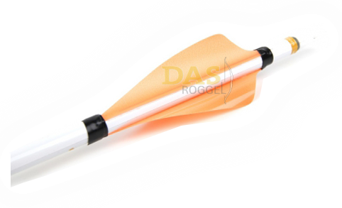 Bild von Spin Wing Fahnen XS Wings 50 pck