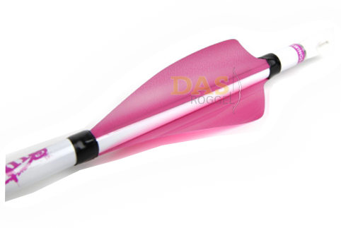 Bild von Spin Wing Fahnen XS Wings 50 pck