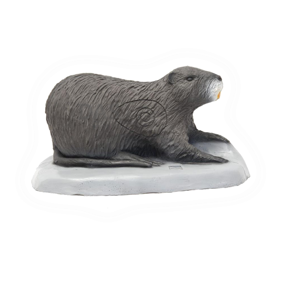 Picture of Target 3-D SRT  Coypu