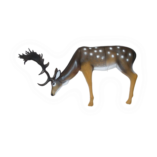 Target 3-D SRT SRT  Fallow Deer Grazing