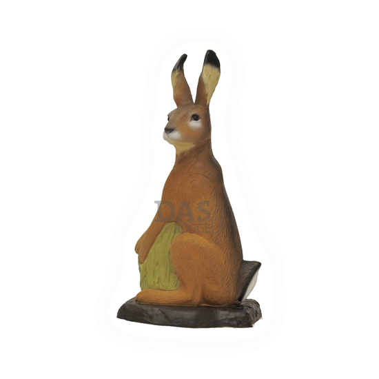 Target 3-D SRT Hare