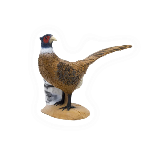 Target 3-D SRT  Pheasant