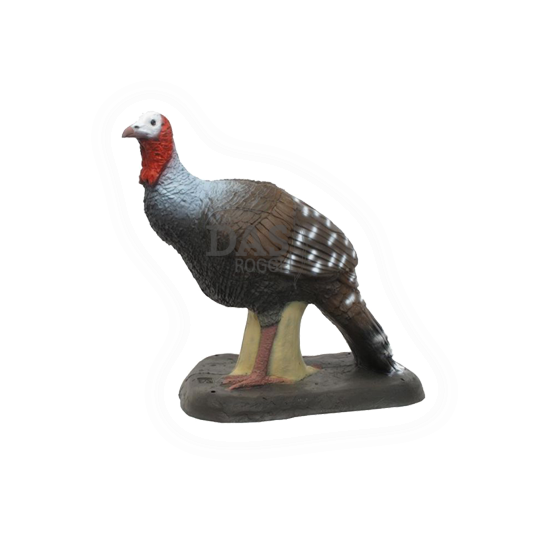 Target 3-D SRT  Turkey