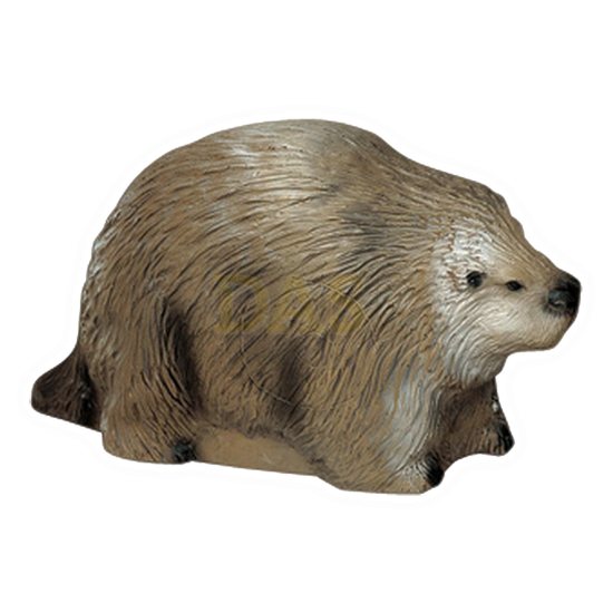 Image de Delta Porcupine
