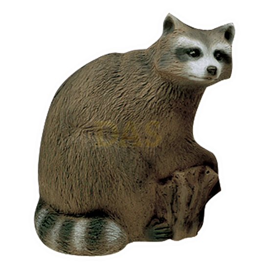 Targets 3-D Premium Series 50510 RACCOON