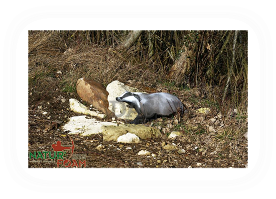 Target 3-D Naturfoam BADGER