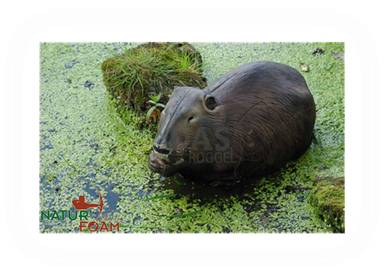 Target 3-D Naturfoam BEAVER
