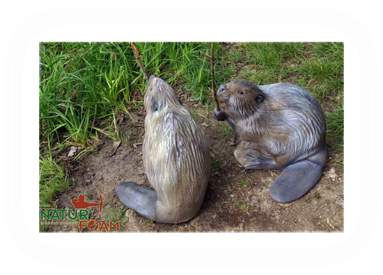Target 3d Naturfoam Beaver - Sitting