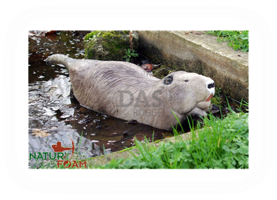 Target 3-D Naturfoam BEAVER - SWIMMING