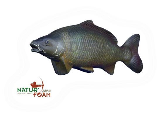 Picture of Naturfoam Target 3d  Carp