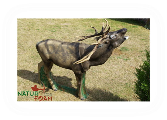 Target 3-D Naturfoam DEER