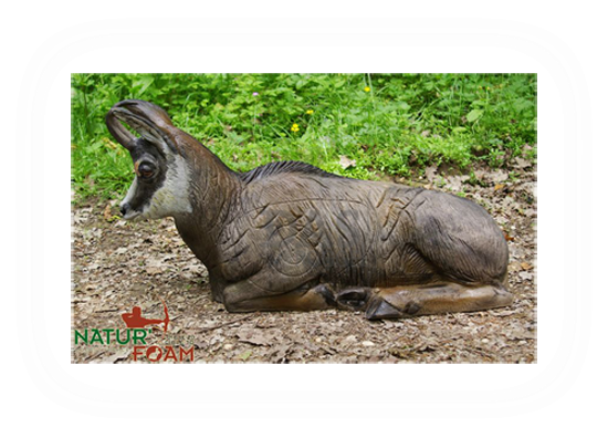 Picture of Naturfoam Target 3d  Chamois - Lying