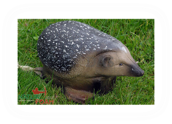 Target 3-D Naturfoam HEDGEHOG