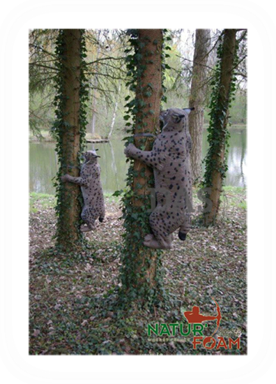 Target 3-D Naturfoam LYNX - CLIMBING