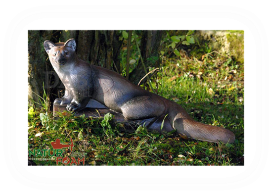 Picture of Naturfoam Target 3d  Marten