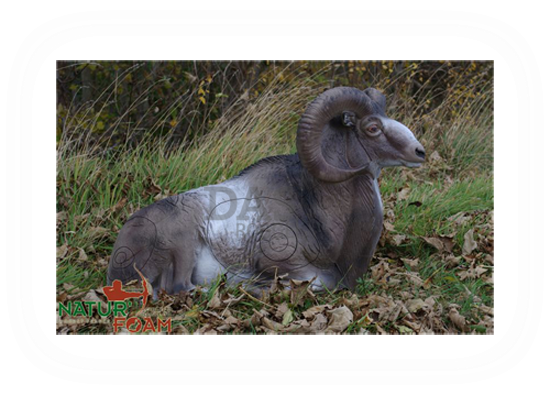 Target 3-D Naturfoam MOUFLON - LYING