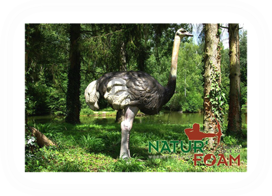 Target 3-D Naturfoam OSTRICH
