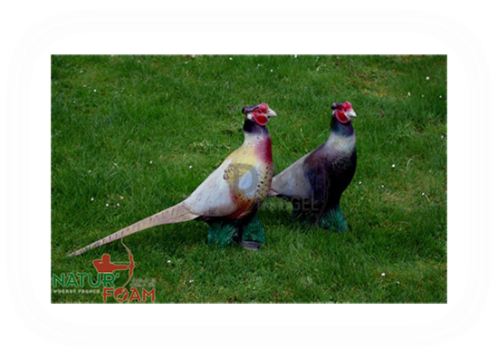 Target 3-D Naturfoam PHEASANT