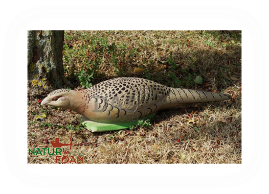 Target 3-D Naturfoam PHEASANT - HEN