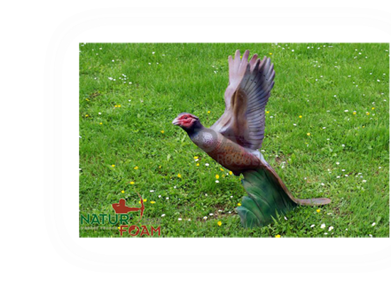 Target 3-D Naturfoam PHEASANT - SOARING