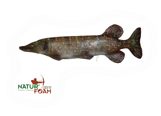 Picture of Naturfoam Target 3d  Pike