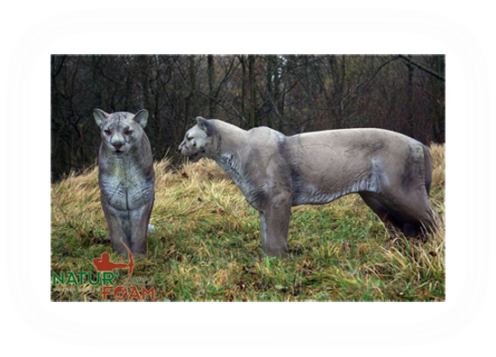Target 3-D Naturfoam PUMA - STANDING